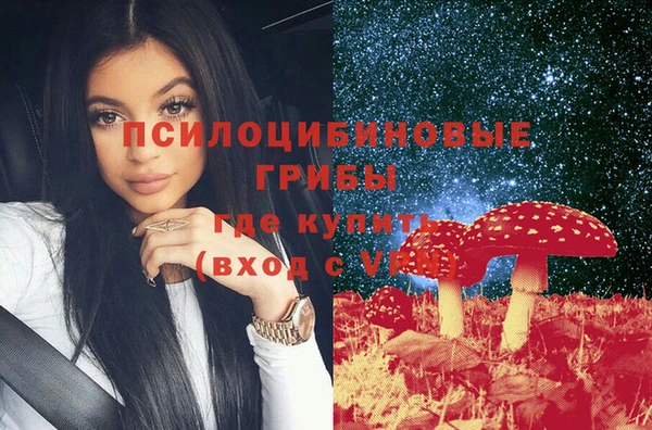 молекула духа Пестово