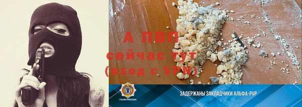 крисы Пересвет